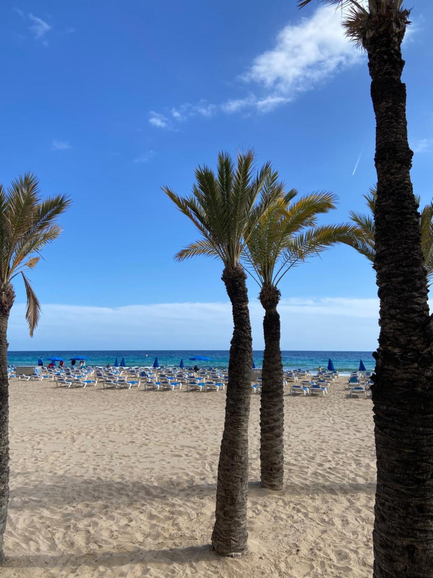 Levante Carlos V 1B Benidorm Kültér fotó